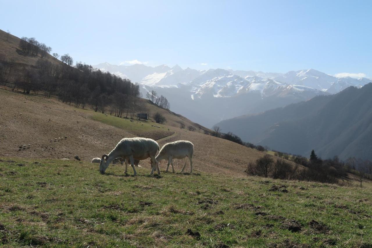 Studio Hyper Centre Lumineux Et Fonctionnel Luchon Bagneres-de-Luchon ภายนอก รูปภาพ